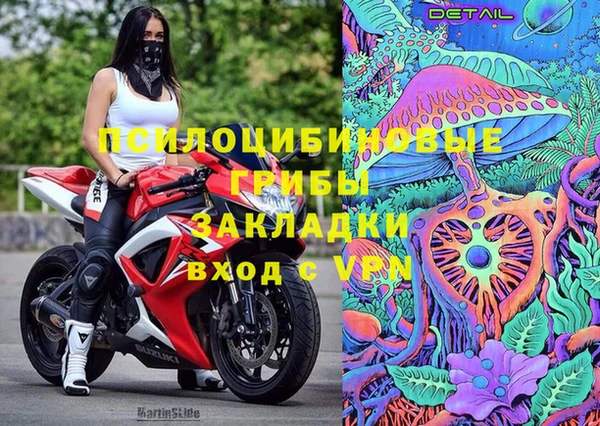 apvp Алзамай
