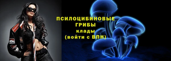 apvp Алзамай
