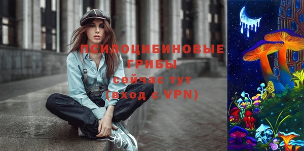 бошки Алексин