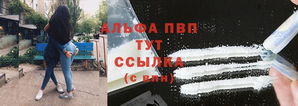 apvp Алзамай