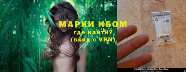бошки Алексин
