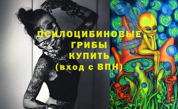apvp Алзамай