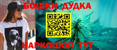 стаф Лесосибирск