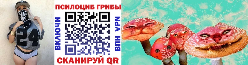 купить наркотики цена  Рязань  Псилоцибиновые грибы ЛСД 