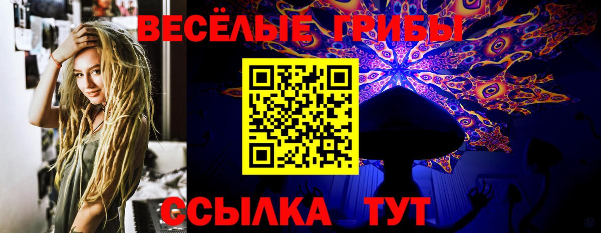 Псилоцибиновые грибы Cubensis Рязань